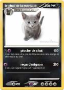 le chat de la