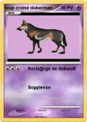 loup croisé