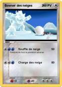 Bowser des