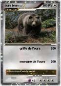 ours brun ours brun