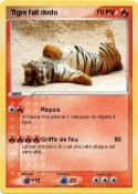 Tigre fait dodo