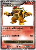 bowser bowser