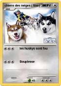 chiens des