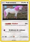 Petit tonnerre