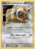 Shiba de la