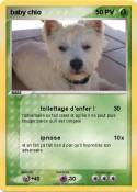 baby chio