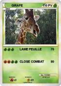 GIRAFE