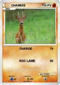 CHAMOIS