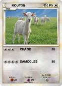 MOUTON