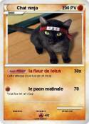 Chat ninja