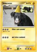beauceron