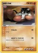petit chat