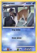 saint-bernard