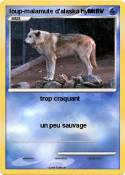 loup-malamute