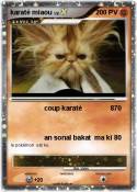 karaté miaou