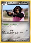 singe gogo
