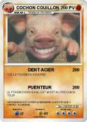 COCHON COUILLON