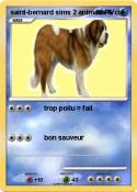 saint-bernard