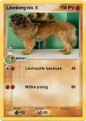 Léonberg niv. X Léonberg niv.