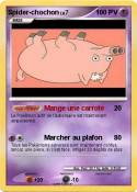 Spider-chochon