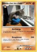Attenta chez