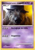 deerhound avec