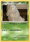 border collie costume border collie