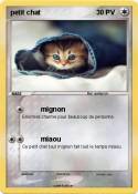 petit chat
