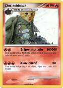 Chat soldat
