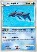 les dauphins