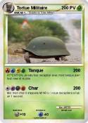 Tortue