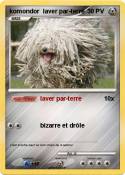 komondor laver