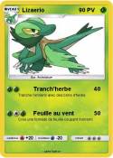 Lizaerio