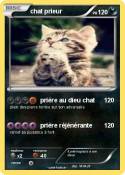 chat prieur
