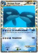 Orcinus Orcas