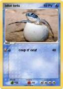 bèbè tortu