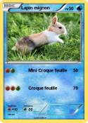 Lapin mignon