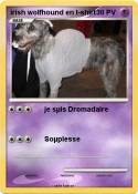 irish wolfhound en t-shirt irish wolfhound