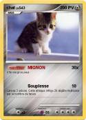 chat