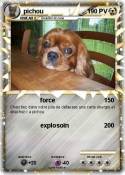 pichou