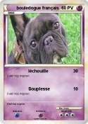 bouledogue