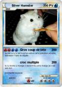 Silver Hamster