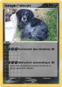 ouragan