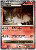 The cat