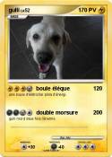 gulli