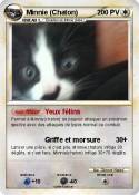 Minnie (Chaton)