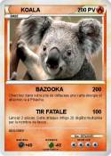 KOALA
