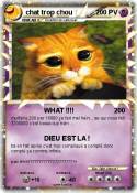 chat trop chou