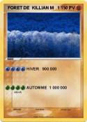 FORET DE KILLIAN M 1 FORET DE