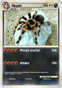 Mygale